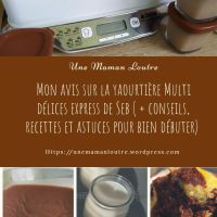 Mon avis sur la yaourtière Multidélices express de Seb (bonus : mes conseils, astuces et recettes pour bien débuter !)
