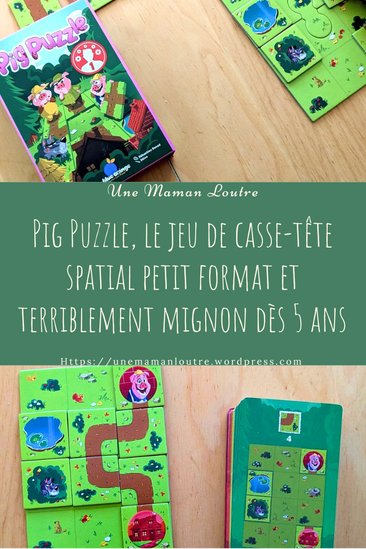 Mon avis sur Pig Puzzle, un petit jeu de casse tête spatial intelligent dès  5 ans – Le blog et les jeux d'une Maman Loutre